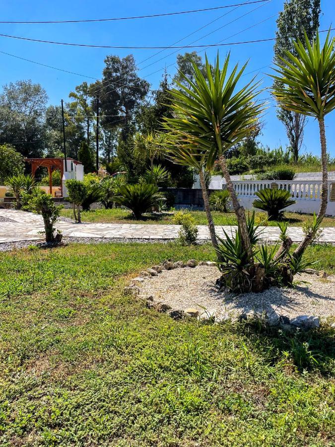 Euphoria Suites And Studios Sidari  Exterior photo
